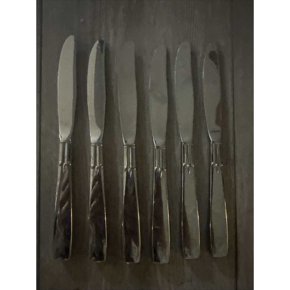 6 PCs Oneida USA Stainless Silverware OHS293 Dinner Knives‎